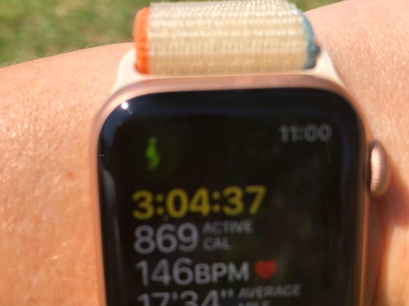 00e875c5-05b1-4b03-9e31-5af221cef731 00e875c5-05b1-4b03-9e31-5af221cef731