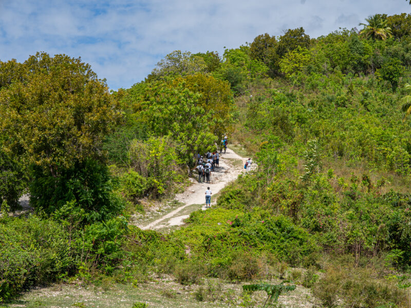 DSC04477-Enhanced-NR DSC04477-Enhanced-NR