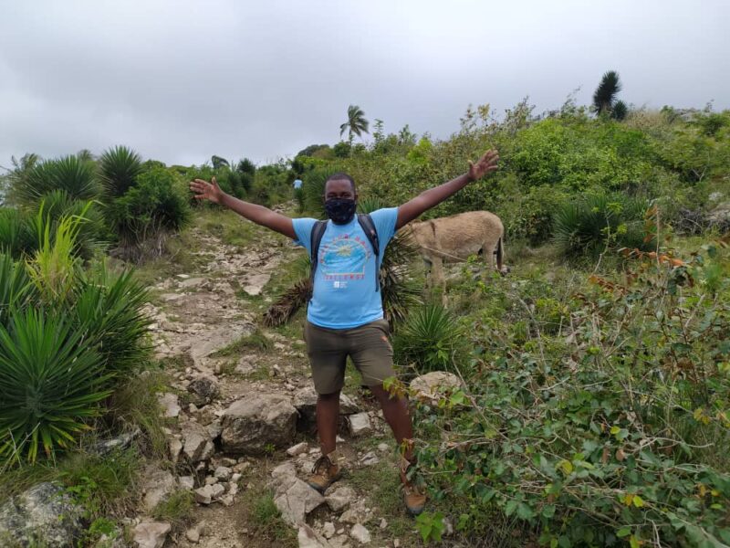 ff532bab-c4db-41a5-8ffb-1a9b16efb38a ff532bab-c4db-41a5-8ffb-1a9b16efb38a