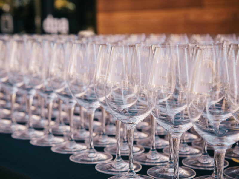 Vineyards_1 Vineyards_1