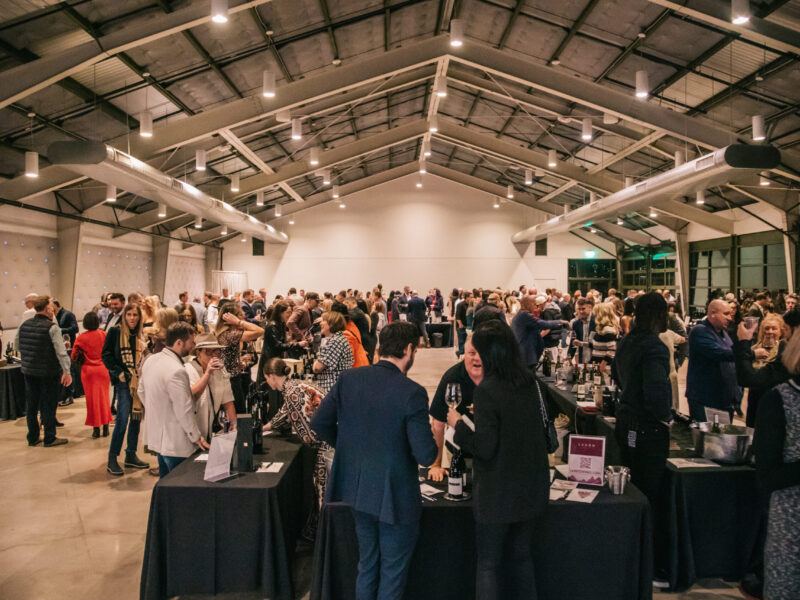 Vineyards_146 Vineyards_146